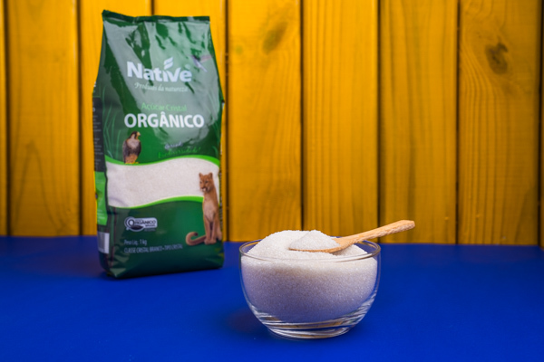 Comida congelada saborosa