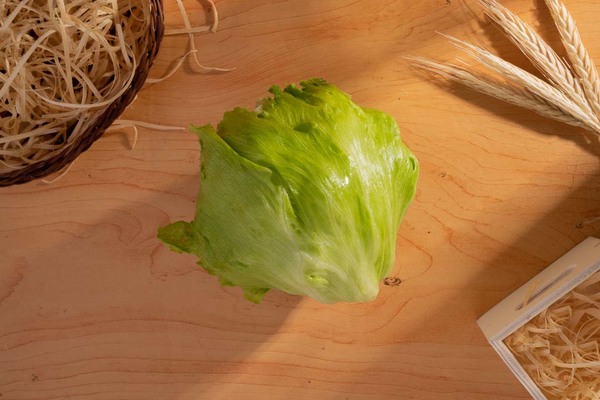 Comida congelada saborosa