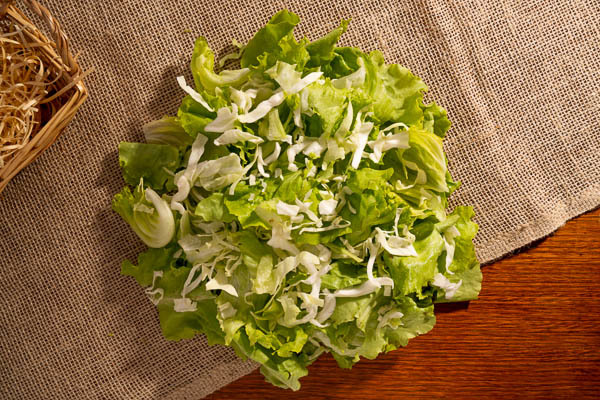Comida congelada saborosa