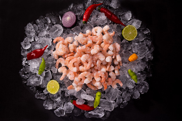 Comida congelada saborosa