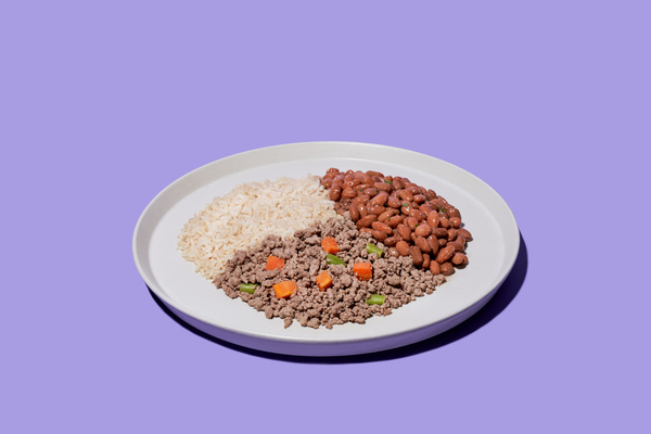 Comida congelada saborosa
