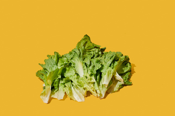 Comida congelada saborosa