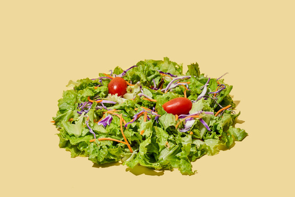 Comida congelada saborosa