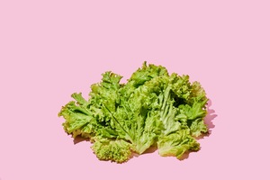 Salada higienizada de alfaces verdes orgânicas