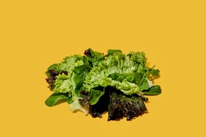 Salada higienizada de alfaces e rúcula orgânicas