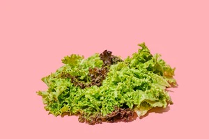 Salada higienizada de alfaces orgânicas