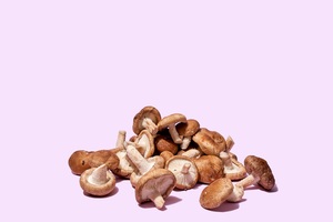 Shiitake orgânico