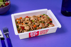 Yakisoba de frango com legumes 450g